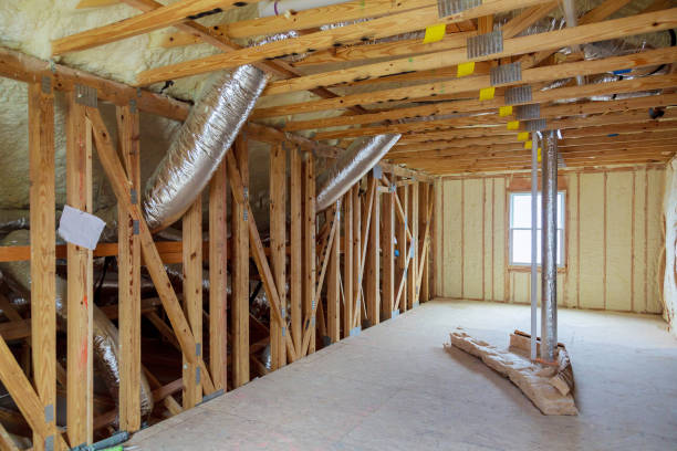 Best Insulation Repair Services  in Hainesvle, IL