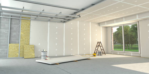 Best Spray Foam Insulation  in Hainesvle, IL