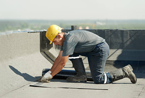 Best Insulation Removal  in Hainesvle, IL