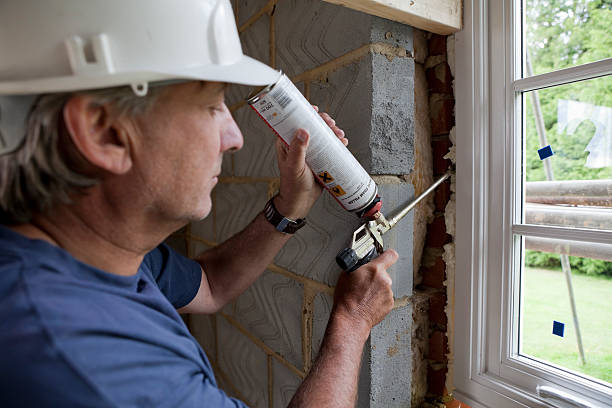 Best Professional Insulation Contractor  in Hainesvle, IL