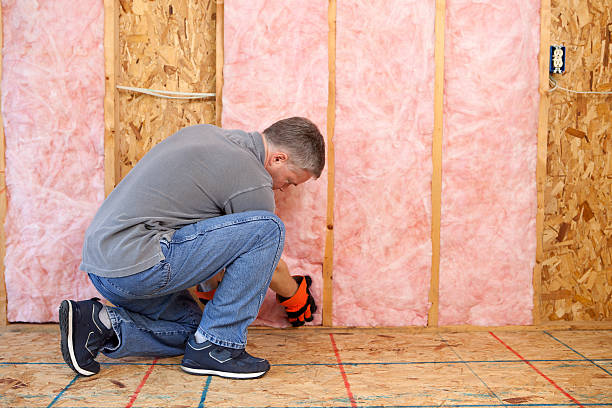 Best Commercial Insulation Contractor  in Hainesvle, IL